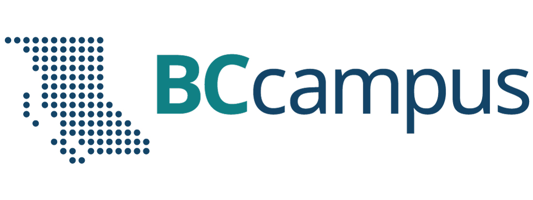 BCcampus Environmental Scan: Professional Development Related to Digital Learning [2024]